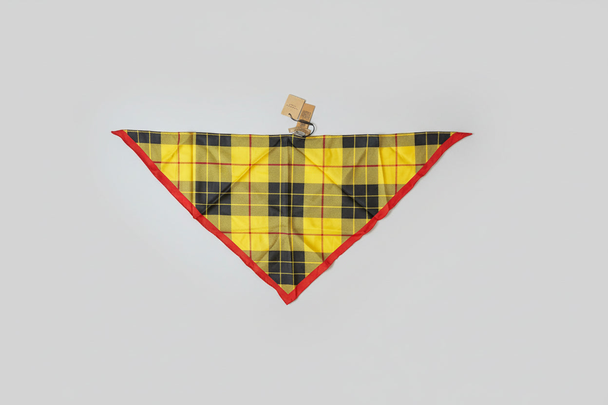 Burberry Triangle Choker — New with Tags